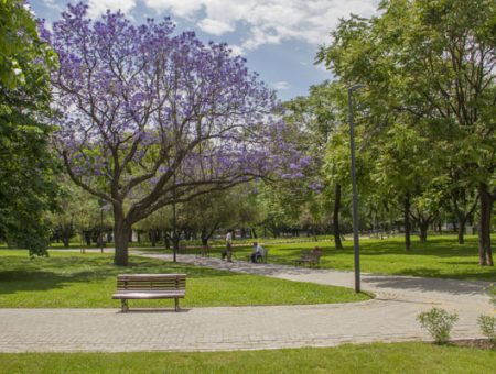 Parque Las Heras